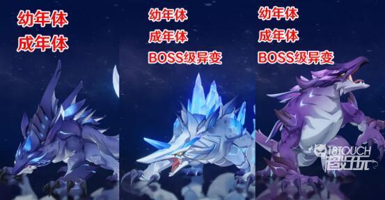 2.5最新爆料,揭秘行业变革背后的秘密与机遇