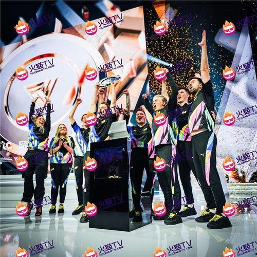 niko最新爆料,揭秘游戏界最新动态与内幕